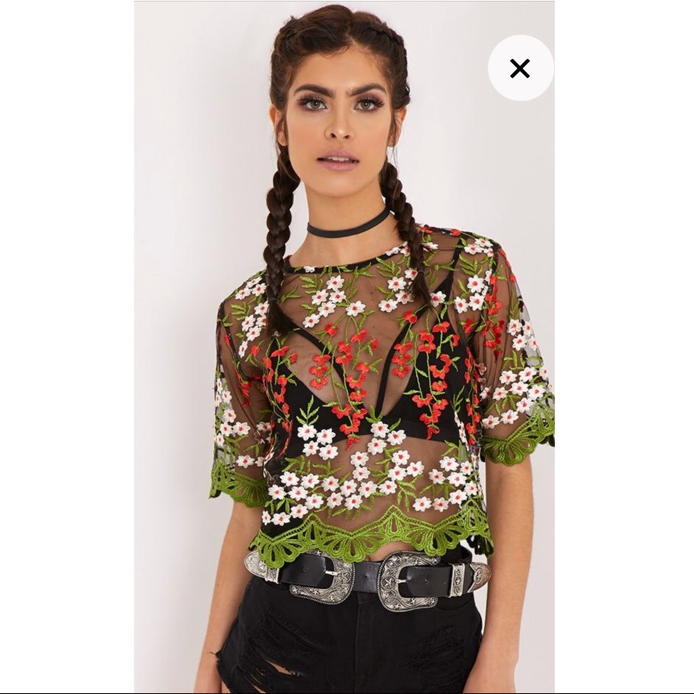 Embroidered Sheer Top